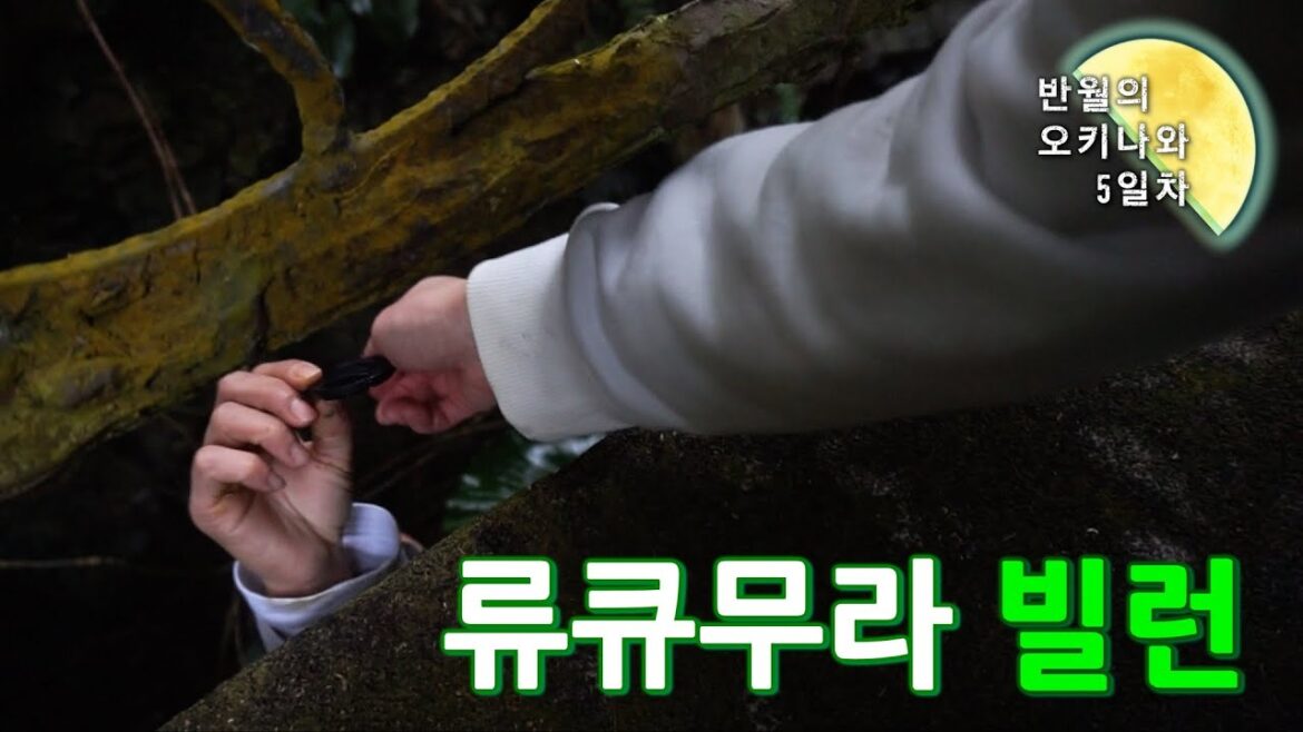 큰일났다… -오키나와 5일차 큰일났다... -오키나와 5일차