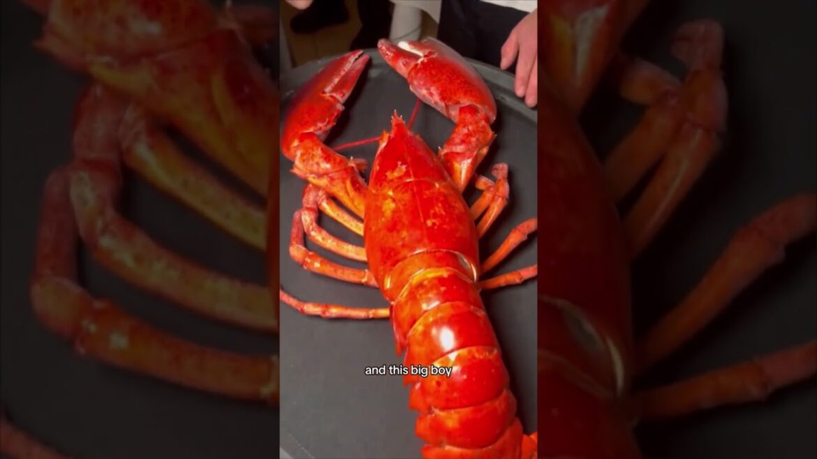 Las Vegas Ultimate Steakhouse Tour Luxury Lip Smacking Foodie Tour Experience Steak Seafood Lobster