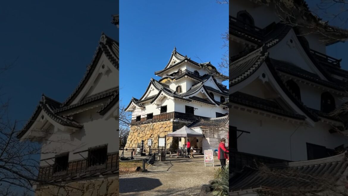 【彦根城】国宝彦根城をお散歩してきた！ #歴史 #travel #japan