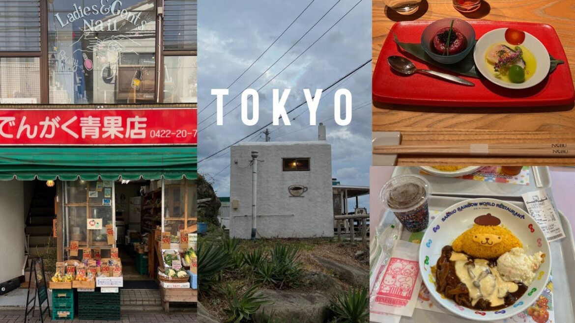 tokyo, week two ; kichijoji, nobu tokyo, chiba, odaiba, sanrio puroland