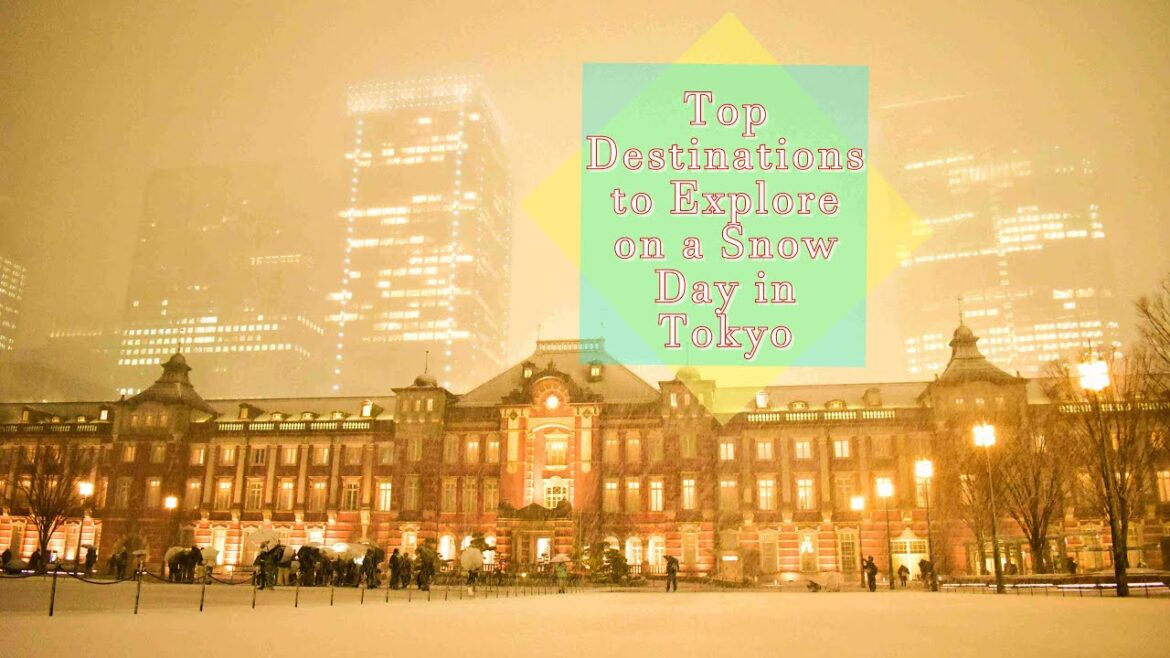 Top Destinations to Explore on a Snow Day in Tokyo | #tokyo snow day 2024