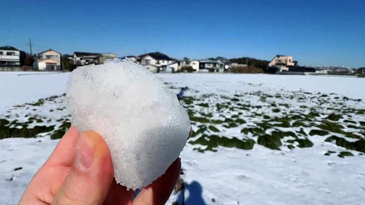 Snow Walk in Rural Suburbs of Matsudo, Chiba Prefecture!  | JAPAN LIVE STREAMS 2024 Snow Walk in Rural Suburbs of Matsudo, Chiba Prefecture!  | JAPAN LIVE STREAMS 2024