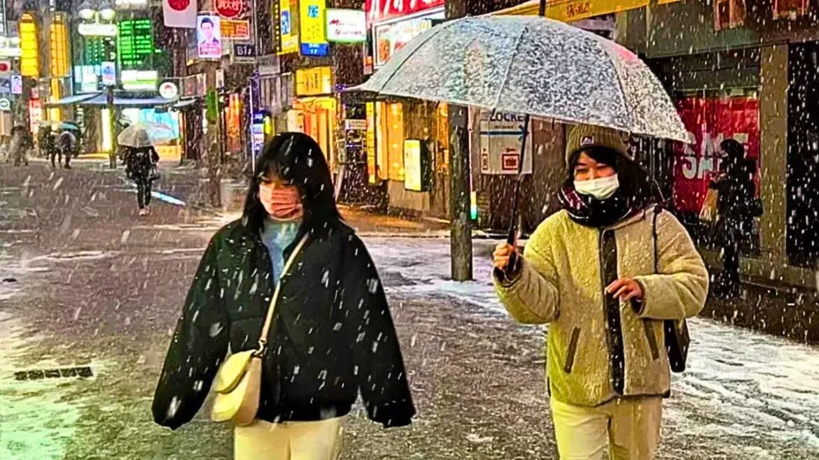 Tokyo Is Closed Due to First Heavy Snow 2024