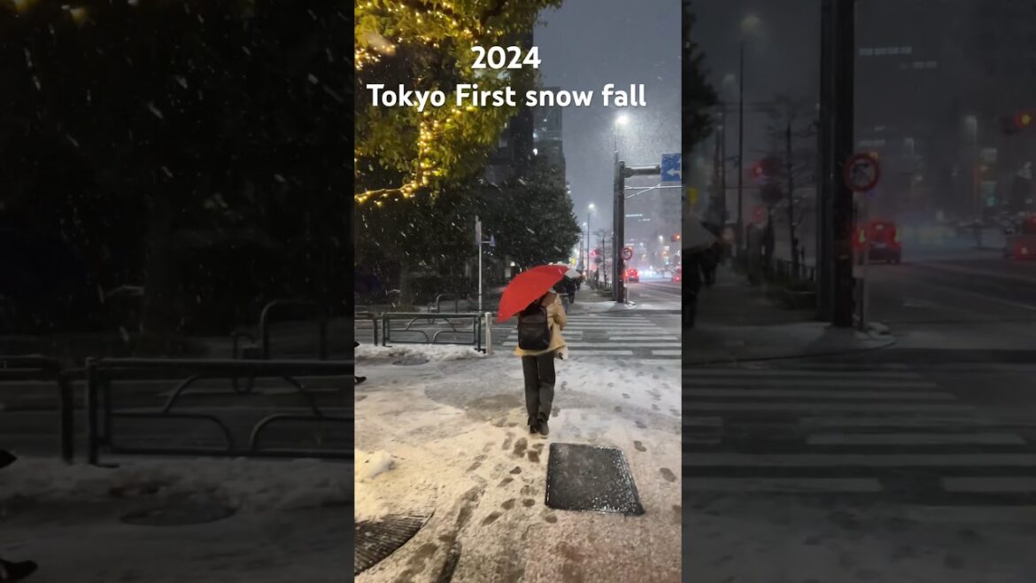 Tokyo 2024 Rare heavy snowfall