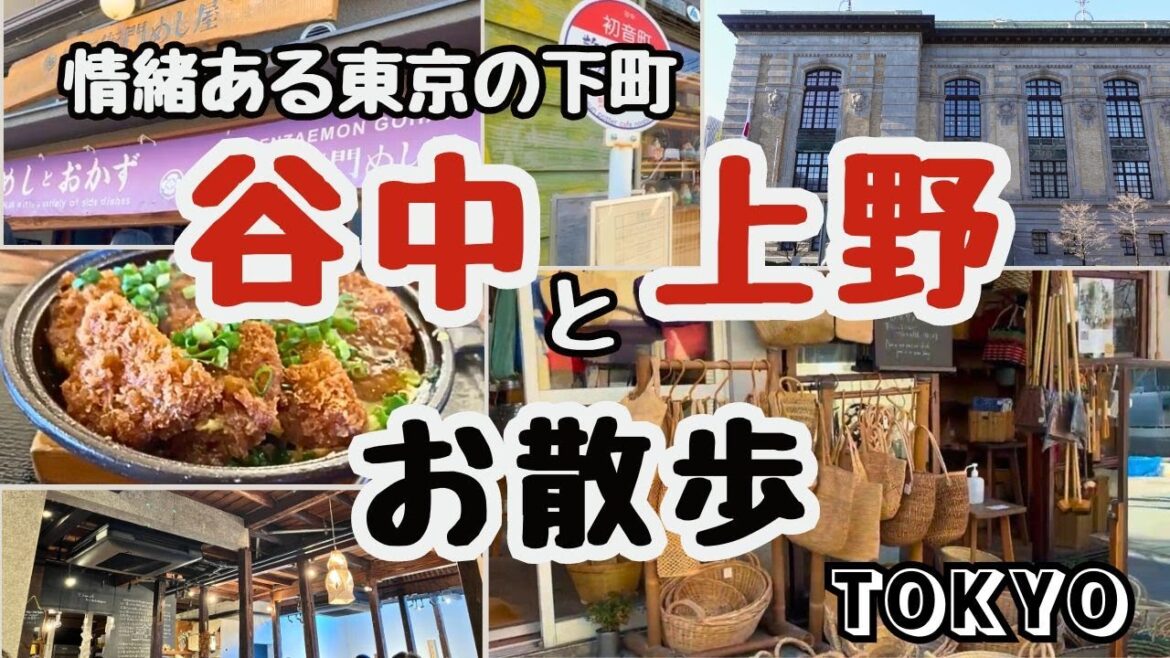 [東京 散歩] 谷中・上野｜リノベカフェ｜道具屋｜子ども図書館は大人も愉しいおすすめ