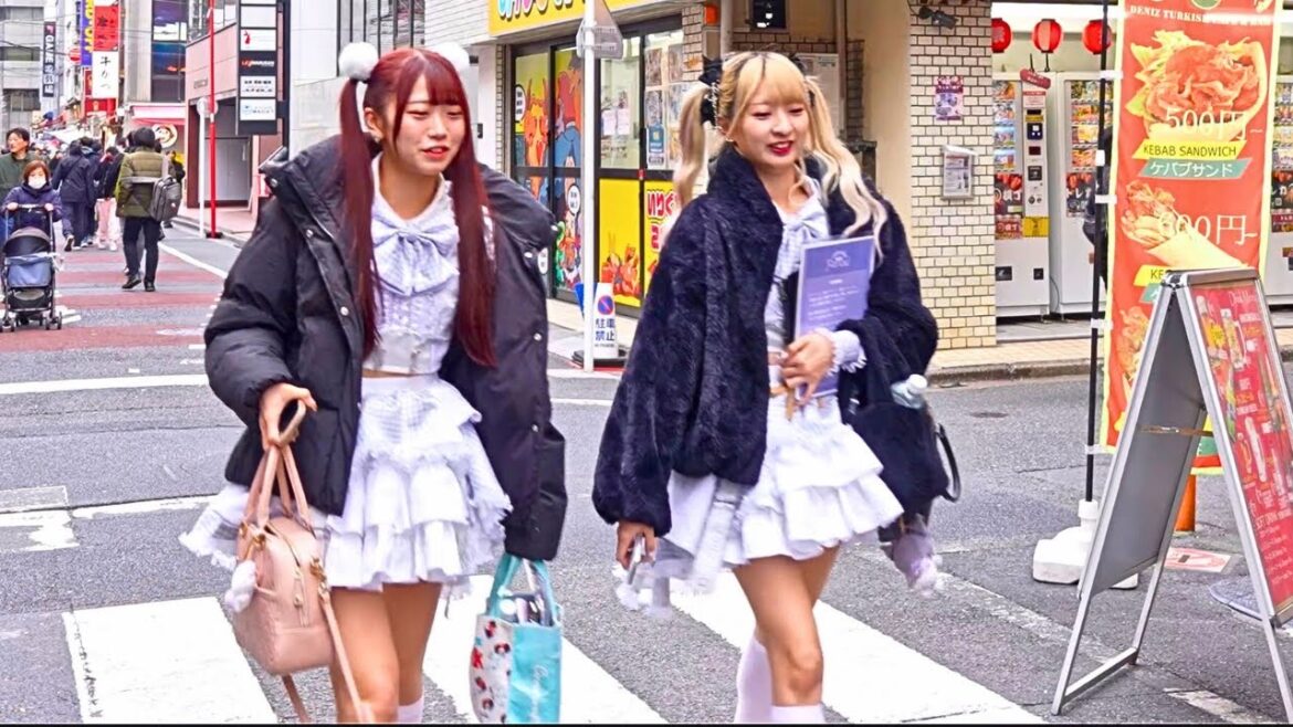 Tokyo’s Hidden alley full of Cute Girls( Maid cafe) Tokyo's Hidden alley full of Cute Girls( Maid cafe)