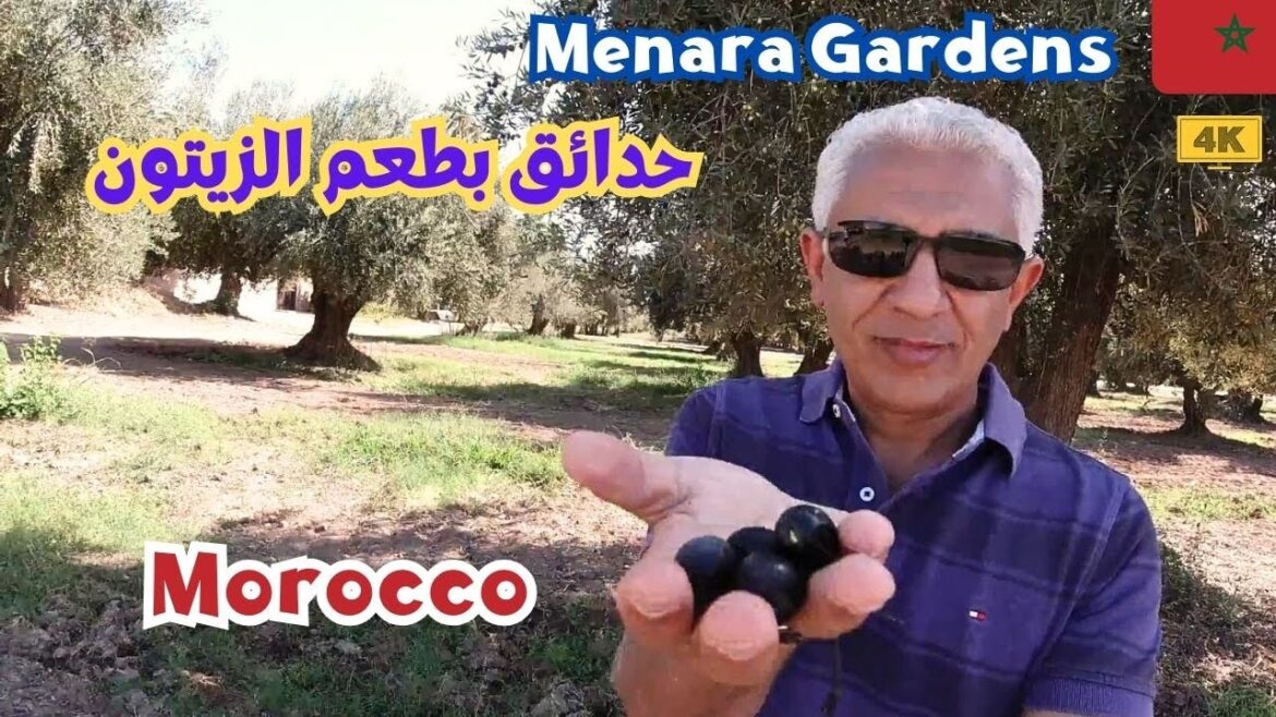 من معسكر لتدريب الجنود على القتال إلى أبهى حدائق مراكش بالمغرب Menara Gardens / Marrakesh / morocco