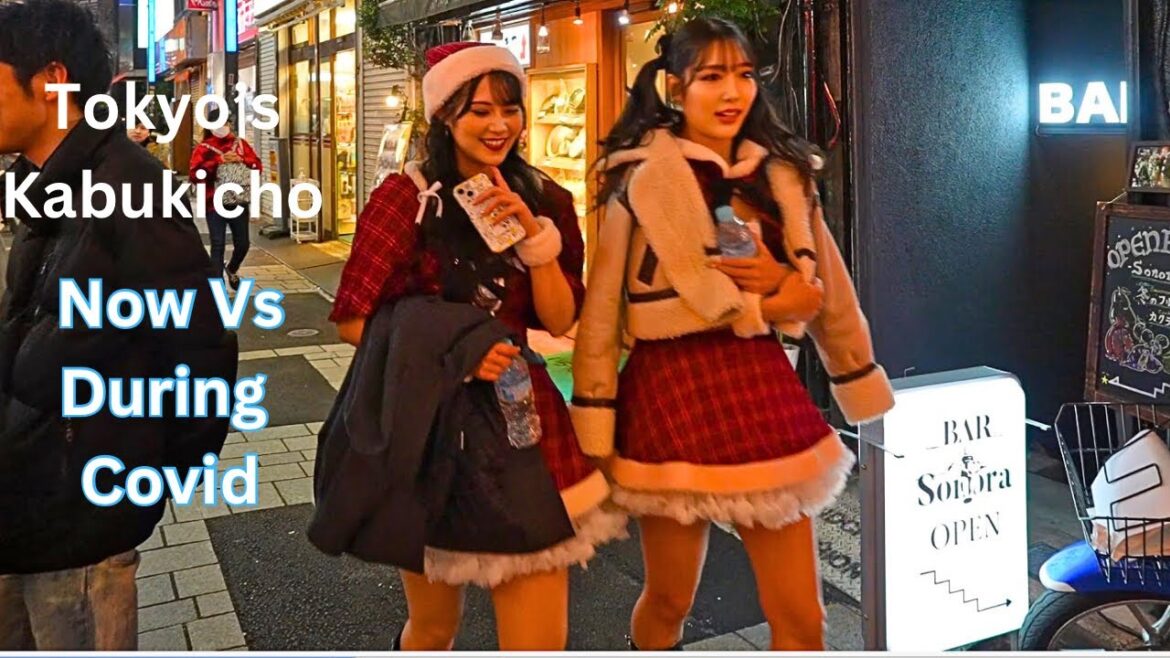 Tokyo’s Adult Entertainment paradise Tokyo's Adult Entertainment paradise