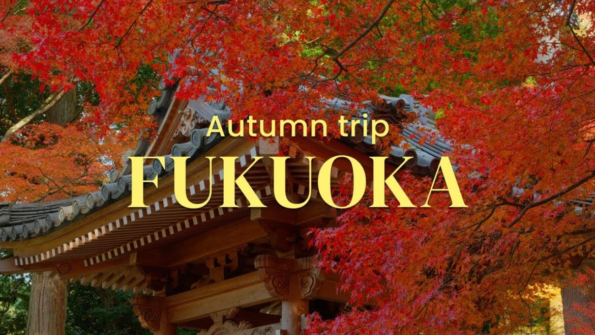Solo Autumn Trip in Fukuoka ๐ฏ๐ต | Ramen, Cafes, Christmas Market, Daikozenji Temple, & Dazaifu Solo Autumn Trip in Fukuoka ๐ฏ๐ต | Ramen, Cafes, Christmas Market, Daikozenji Temple, & Dazaifu