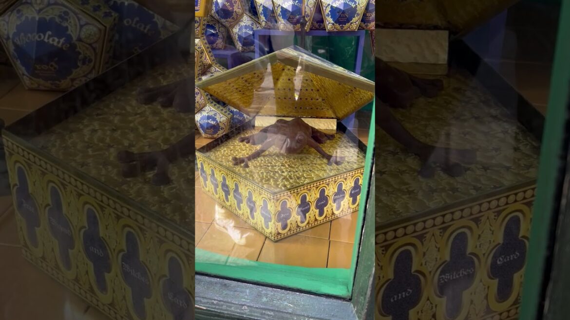 Harry Potter Chocolate Frog at Universal Studios Japan #shorts