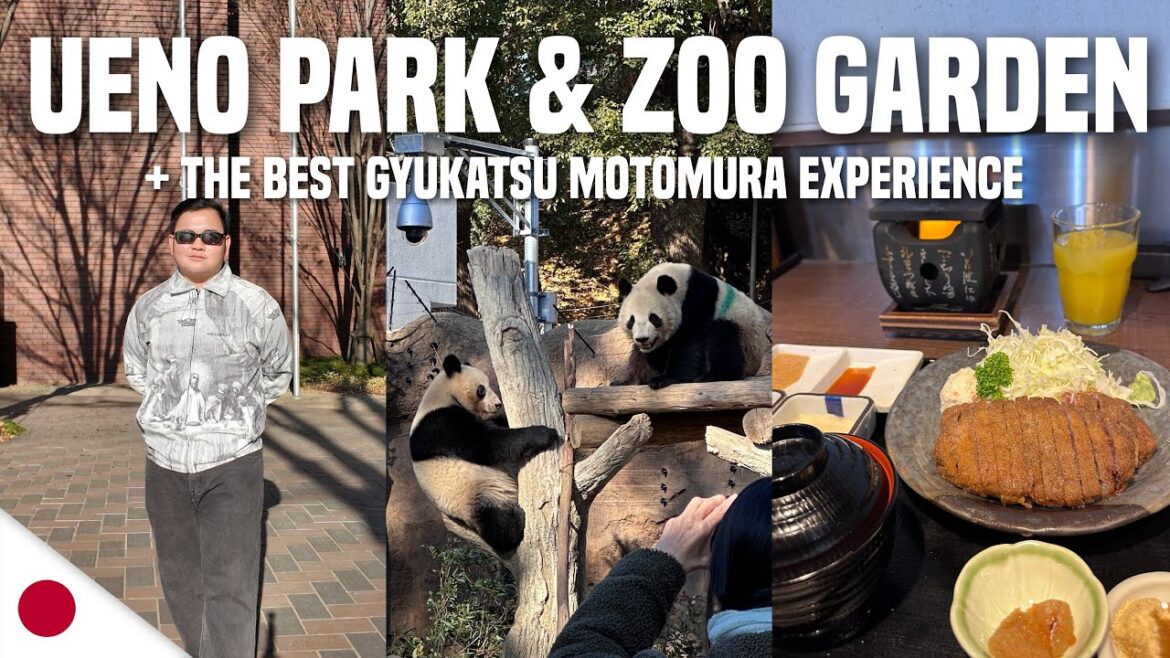 TOKYO VLOG β’ Ueno Park, Ueno Zoo & Tokyo National Museum | Ivan de Guzman TOKYO VLOG β’ Ueno Park, Ueno Zoo & Tokyo National Museum | Ivan de Guzman