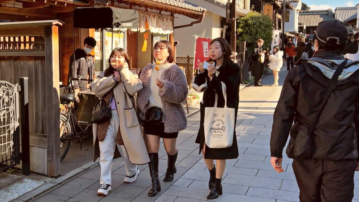 Tokyo's Most visited district (go pro 12)