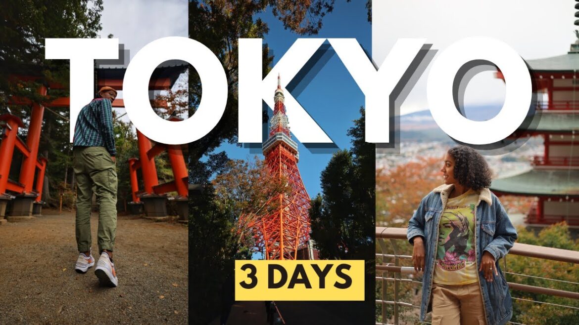 TOKYO Like You’ve Never Seen Before | 2024 Tokyo JAPAN Travel Guide 🇯🇵 TOKYO Like You've Never Seen Before | 2024 Tokyo JAPAN Travel Guide 🇯🇵