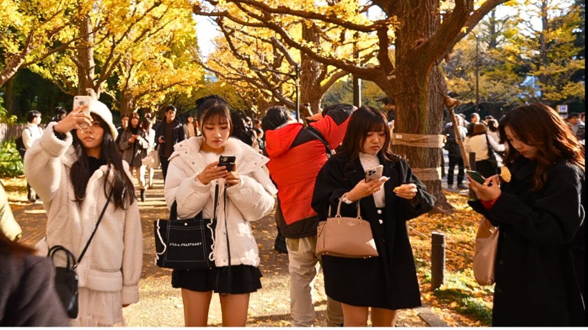 This Tokyo's Area Gets Super popular only for 1 Week