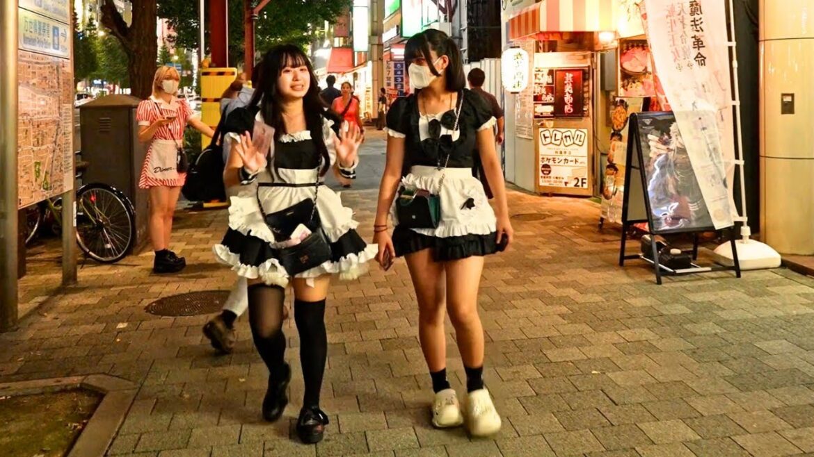 Tokyo's Maid Cafe paradise On fall