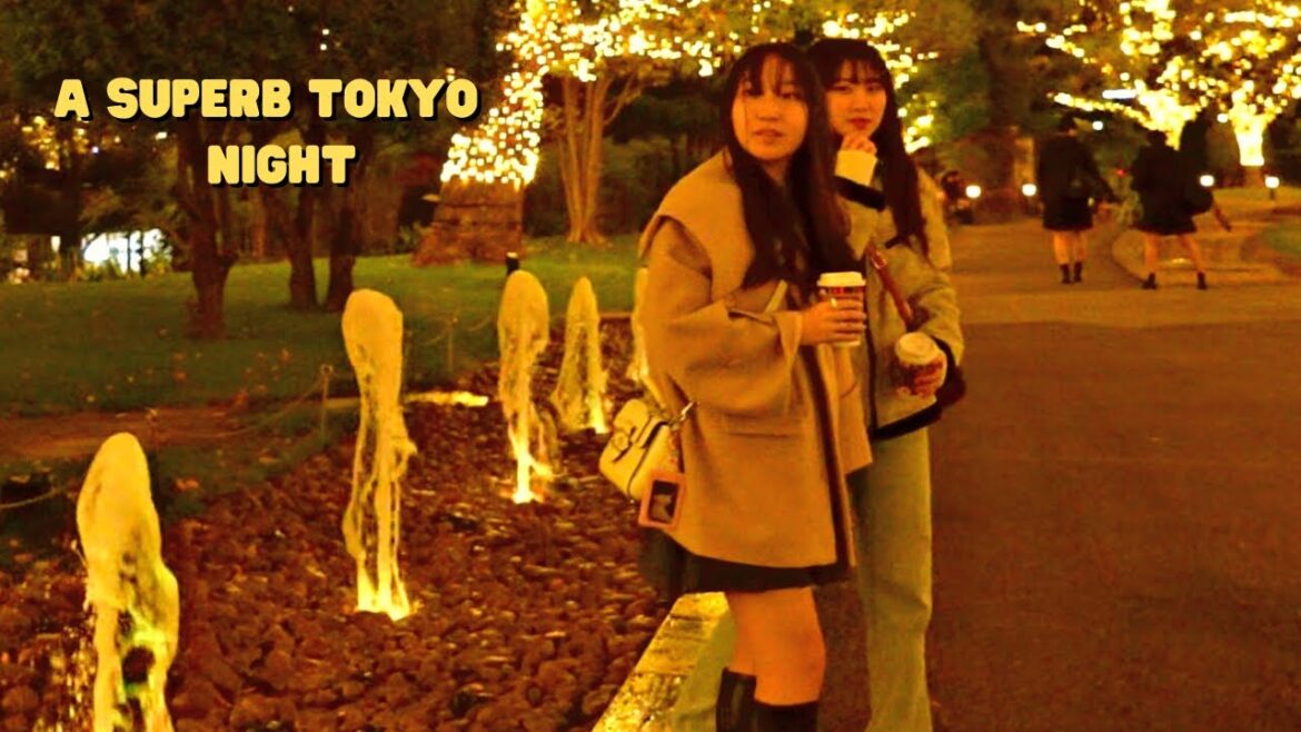 Tokyo’s Wealthy District With a New Majestic look Tokyo's Wealthy District With a New Majestic look