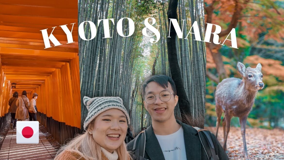 KYOTO & NARA a MUST visit in JAPAN! Here is why 🦌