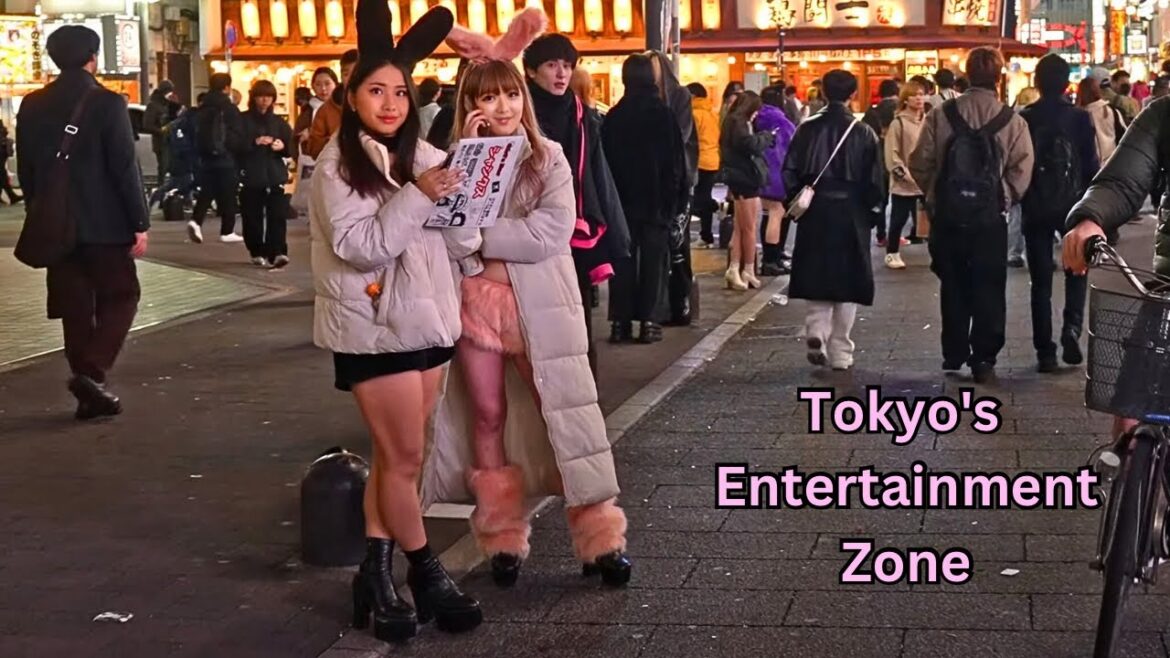 Tokyo's Youngster Paradise Is Full of Pleasure