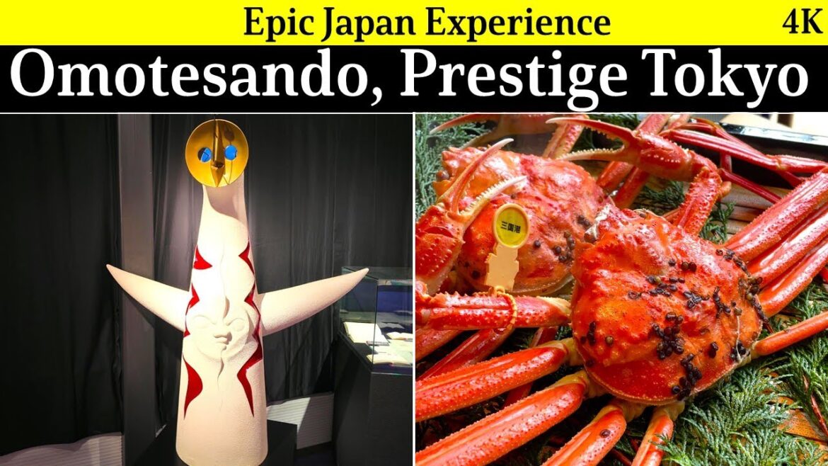 4K Japana street walk: Omotesando’s presitigous food and art! 4K Japana street walk: Omotesando's presitigous food and art!