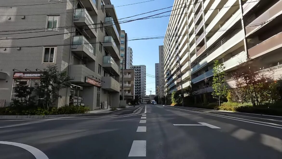 Cycling Tour | TX 柏の葉キャンパス駅 ~ 流山おおたかの森駅 | 4K | January 2024
