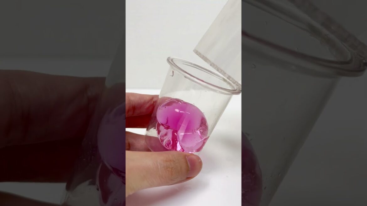 Big Orbeez and Crush ASMR #shorts