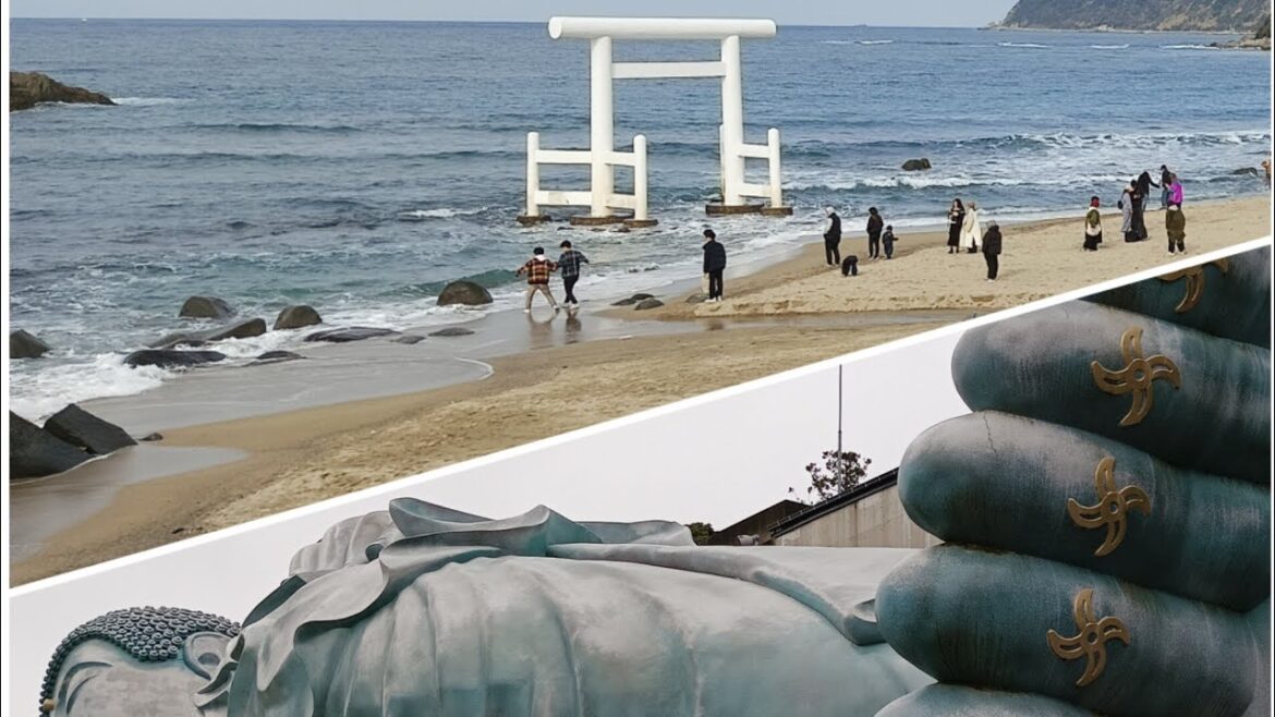 Nanzoin Temple, Sakurai Shrine Futamigaura and Nakasu Kawabata Arcade - Fukuoka Tour - February 2024