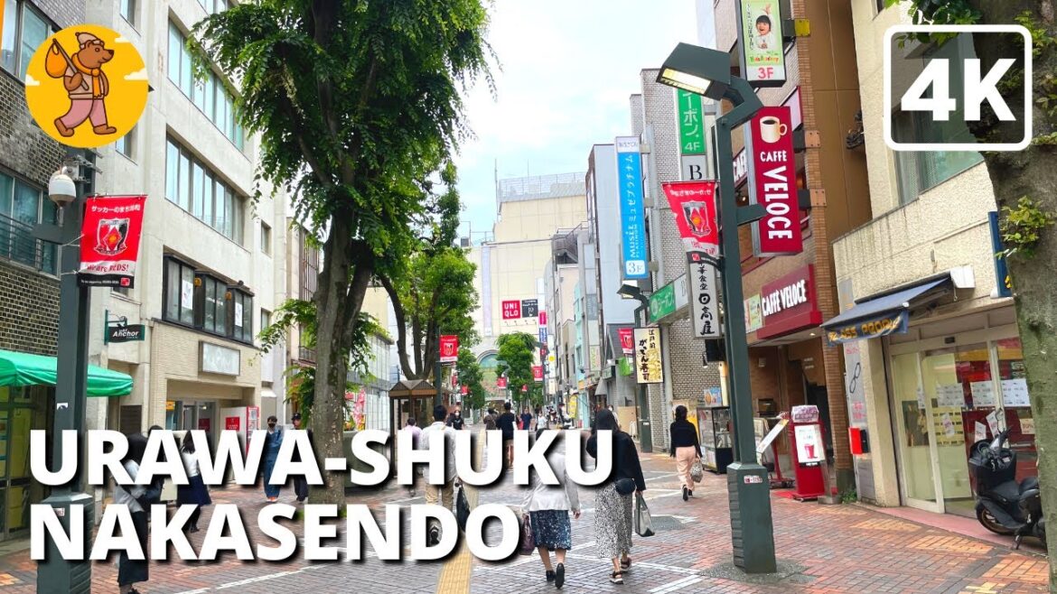 NAKASENDO TRAIL Part 3 | Urawa-shuku 4K Japan Saitama Walking Tour 浦和宿中山道埼玉県 NAKASENDO TRAIL Part 3 | Urawa-shuku 4K Japan Saitama Walking Tour 浦和宿中山道埼玉県