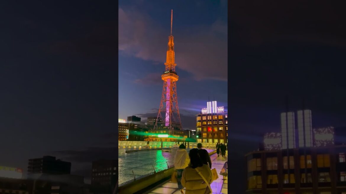 [Vertical Cam] Walking in Nagoya, Japan - Snowy Japan Tour