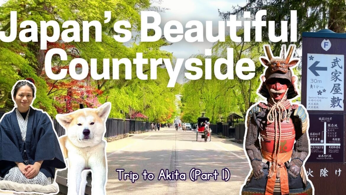 Kakunodate Samurai District 🇯🇵 Staying at a Farm House 🌾| Akita Prefecture Kakunodate Samurai District 🇯🇵 Staying at a Farm House 🌾| Akita Prefecture