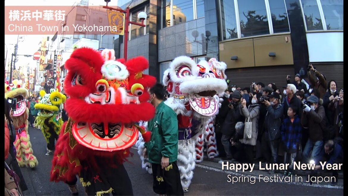Chinatown in Yokohama! Traditional Lion Dance and Colorful Chinese Dance Japan Spring Festival Event