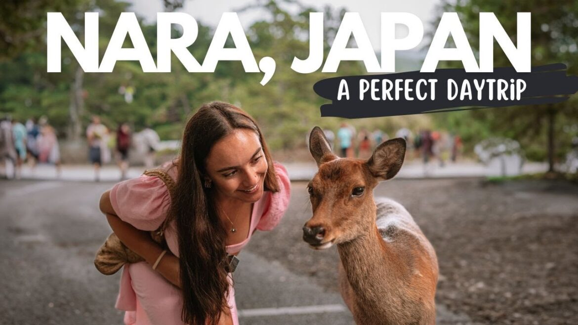 Why You Should DEFINITELY Visit Nara – Japan’s Bowing Deer 🇯🇵 Why You Should DEFINITELY Visit Nara - Japan’s Bowing Deer 🇯🇵