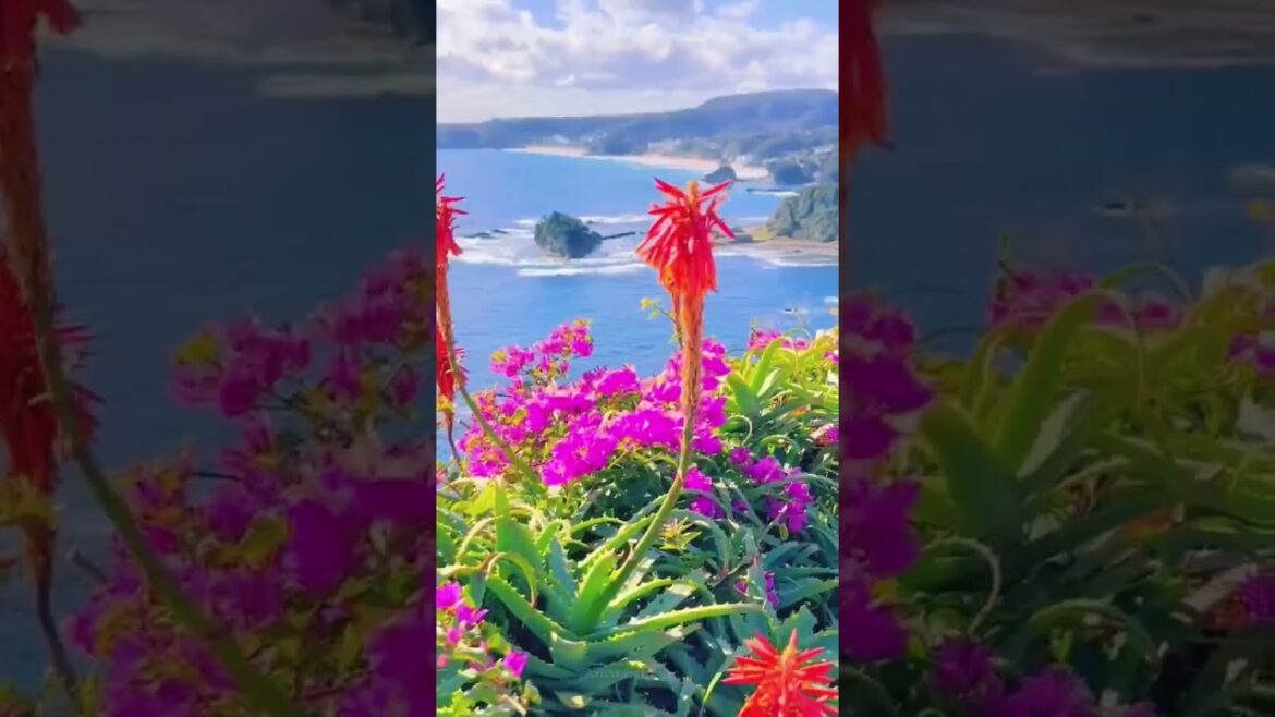 Most Beautiful Places in Japan 💯 #shorts #shortsfeed #youtubeshorts #explore #travel Most Beautiful Places in Japan 💯 #shorts #shortsfeed #youtubeshorts #explore #travel