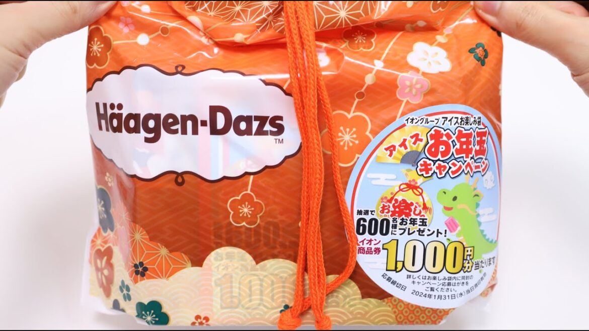 Haagen-Dazs Ice Cream Lucky Bag Unboxing