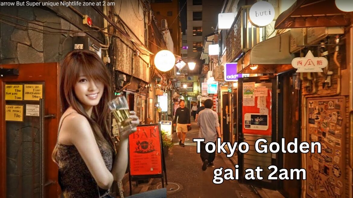 Tokyo's Narrow But Super unique Nightlife zone at 2 am