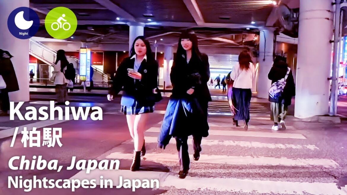 ⁴ᴷ Chiba: Kashiwa Station (千葉県: 柏駅) – Japan Walking Tour (February, 2024) ⁴ᴷ Chiba: Kashiwa Station (千葉県: 柏駅) - Japan Walking Tour (February, 2024)