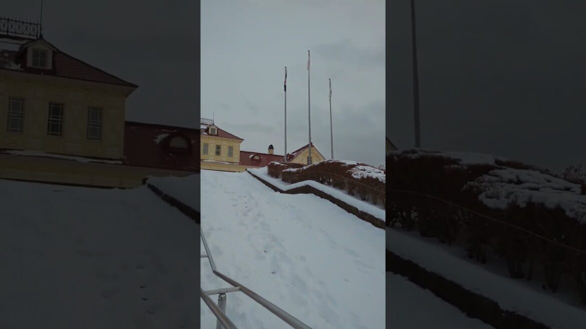 Japan Tour Part-2 | Sapporo | #vlog #japan #sapporo #hokkaido #japantravel  #gardeningwithseema