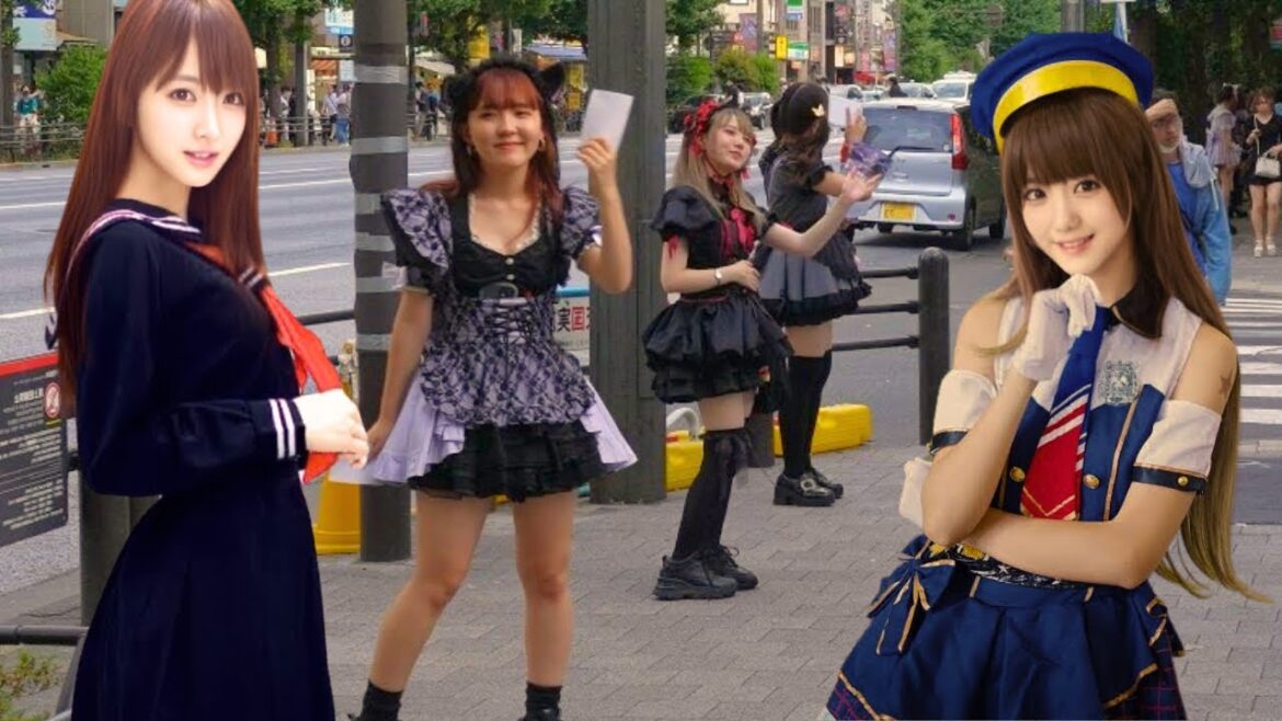 Tokyo’s Maid cafe Girls are increased on summer Tokyo's Maid cafe Girls are increased on summer