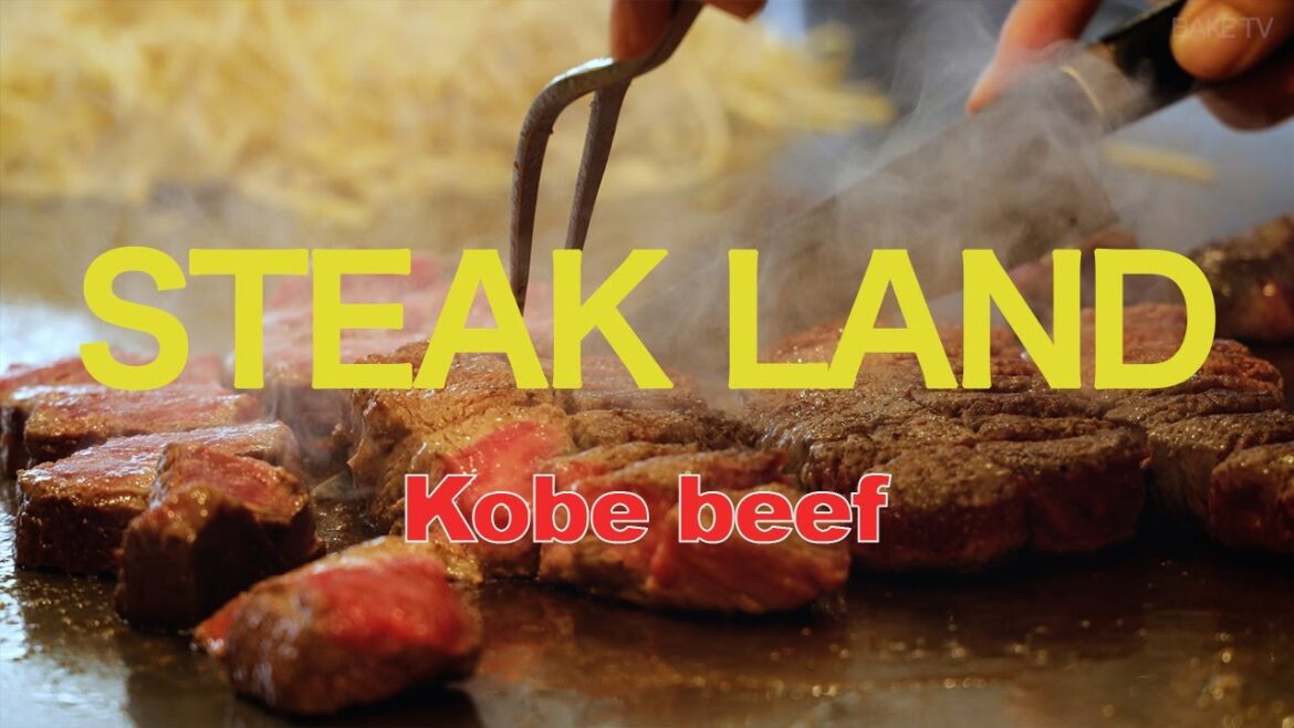 일본 고베 와규 스테이크랜드 Japanese Kobe Wagyu Restaurant Steak Land Sketch Film