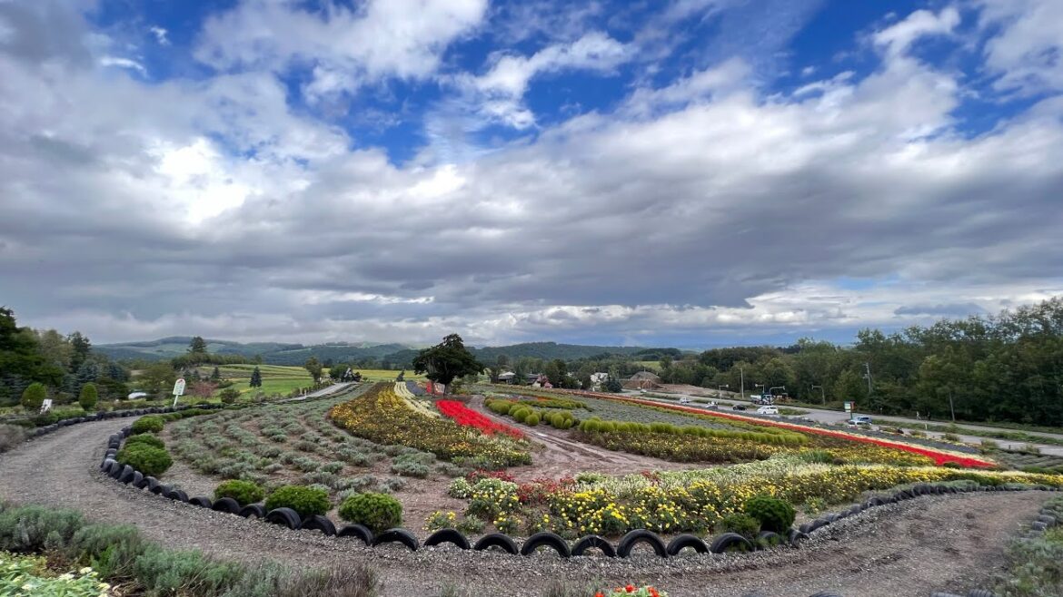 2.5 minutes Hokkaido viewing: Zerubu no Oka | Biei | Furano