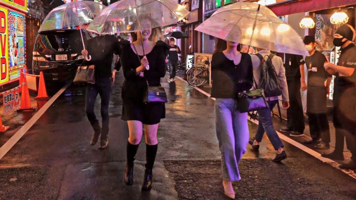 Tokyo’s Erotic zone on a rainy day still very dynamic Tokyo’s Erotic zone on a rainy day still very dynamic