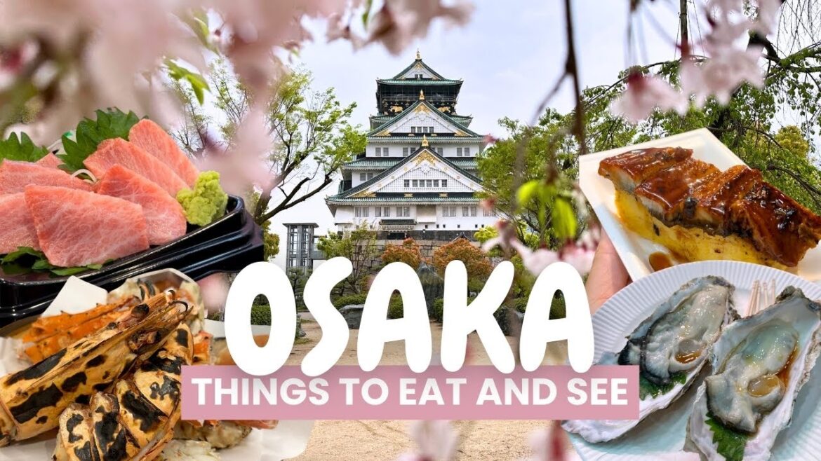 EXPLORING OSAKA, JAPAN | kuromon market, osaka castle, micro pig animal cafe (JAPAN VLOG)