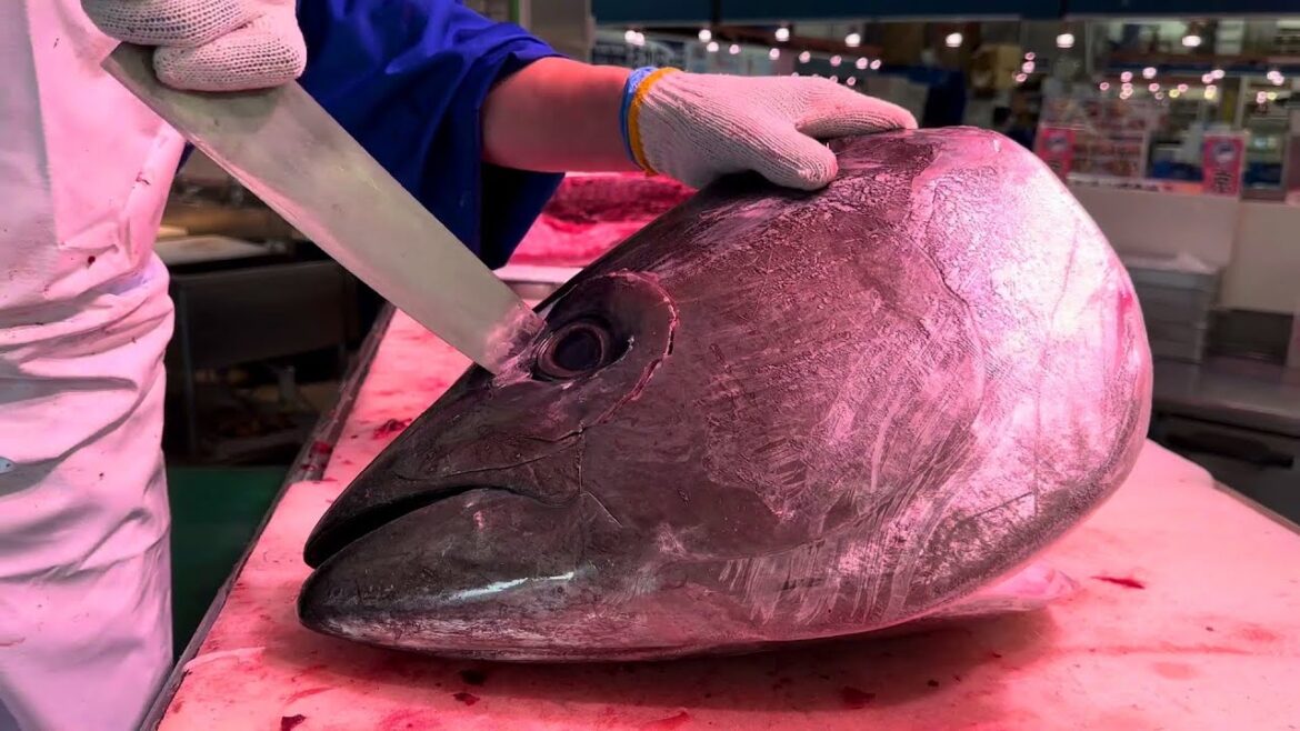 JAPANESE STREET FOOD – Blue Tuna Sushi Show JAPANESE STREET FOOD - Blue Tuna Sushi Show