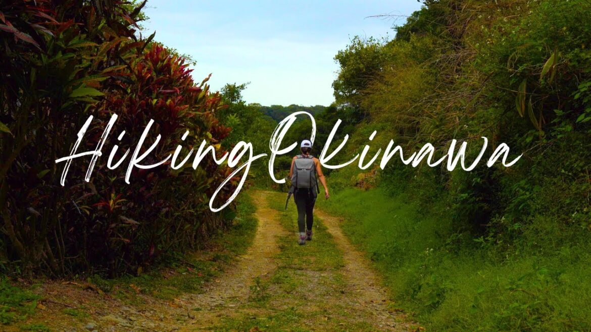 Discovering one of Okinawa’s most challenging hikes | Mt Awadake Loop Discovering one of Okinawa’s most challenging hikes | Mt Awadake Loop