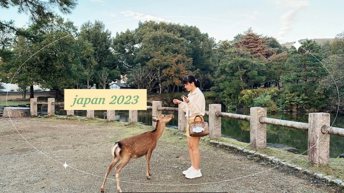 JAPAN AUTUMN 2023 (Osaka and Tokyo)