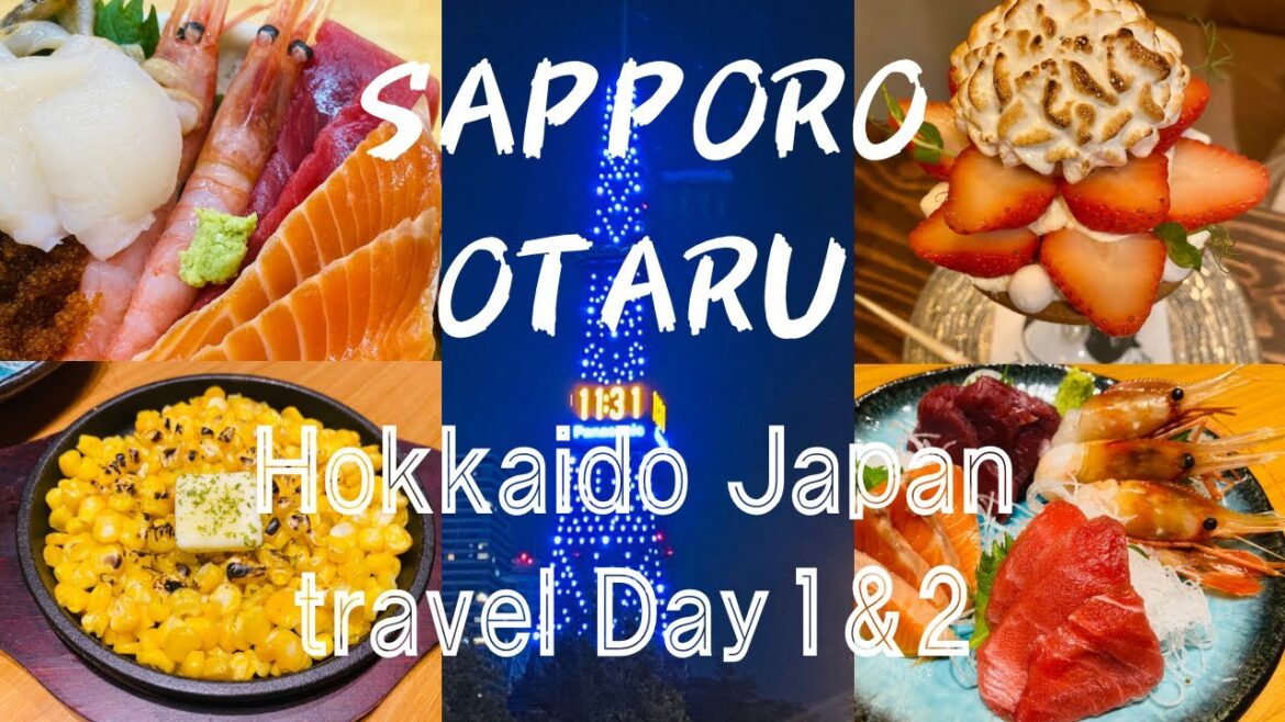 Travel to Hokkaido(Sapporo, Otaru) Day1& 2