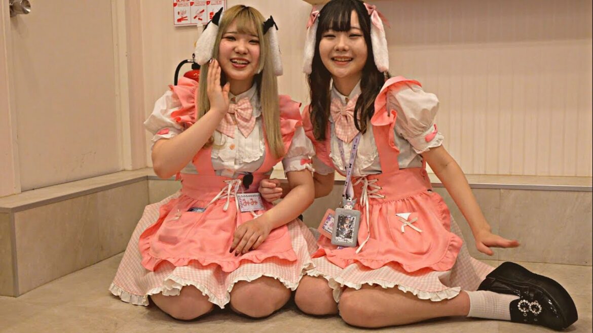 Many Cute Maid Cafes Girls Serve Me In Tokyo's Akihabara