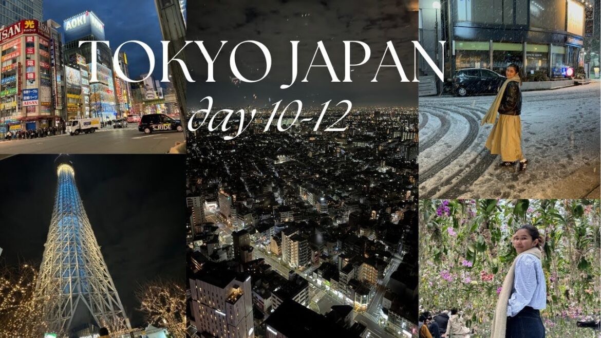 JAPAN TOKYO TRIP 2024 VLOG DAY 10-12 | ART AQUARIUM MUSEUM | TEAM LAB | GINZA | JEN DE LEON