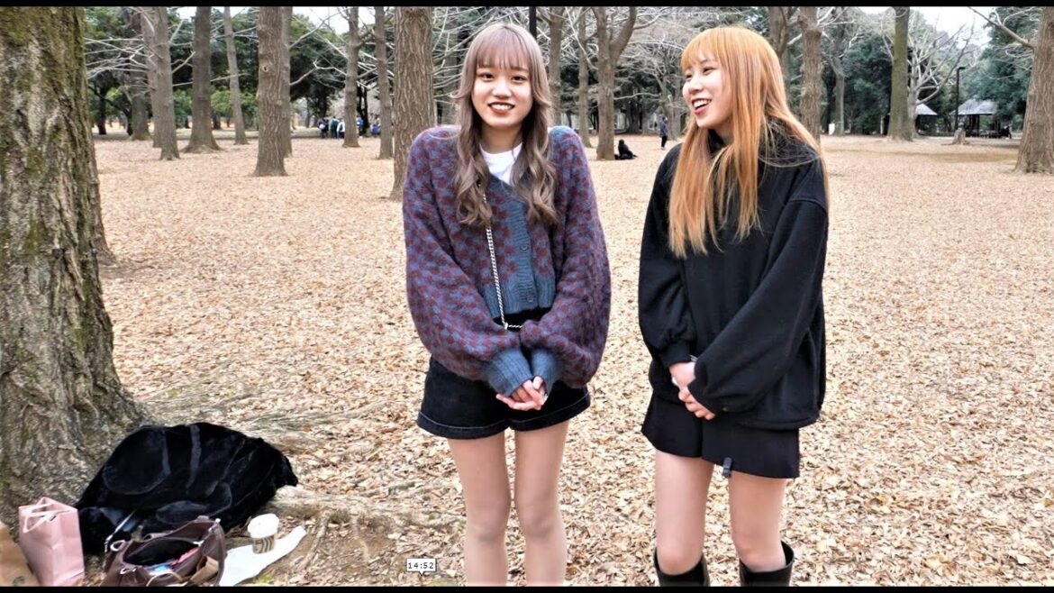 Which countries Japanese want to go