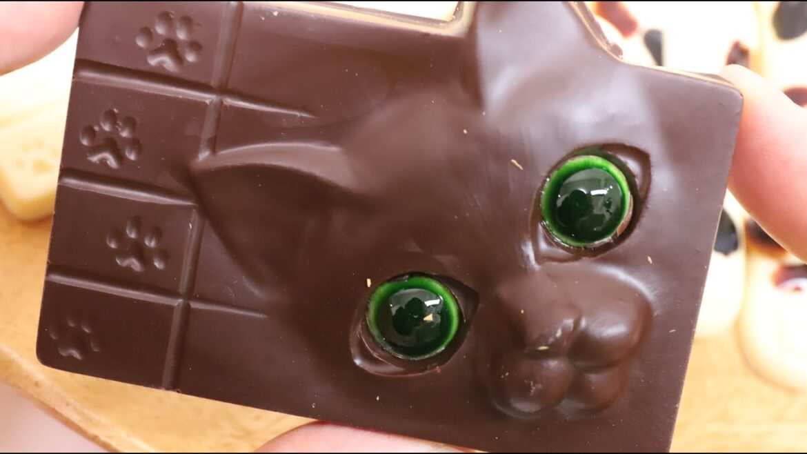 Cat Chocolate Super Neko Set