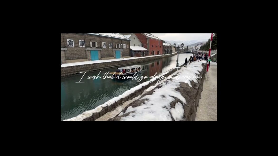 Travel in the Snow #snow #travel #otaru #hokkaido